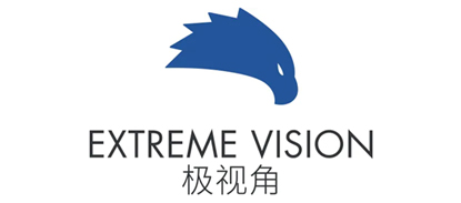 极视角